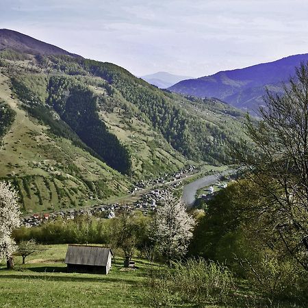 Dream Hostel Carpathians Rahău Exterior foto