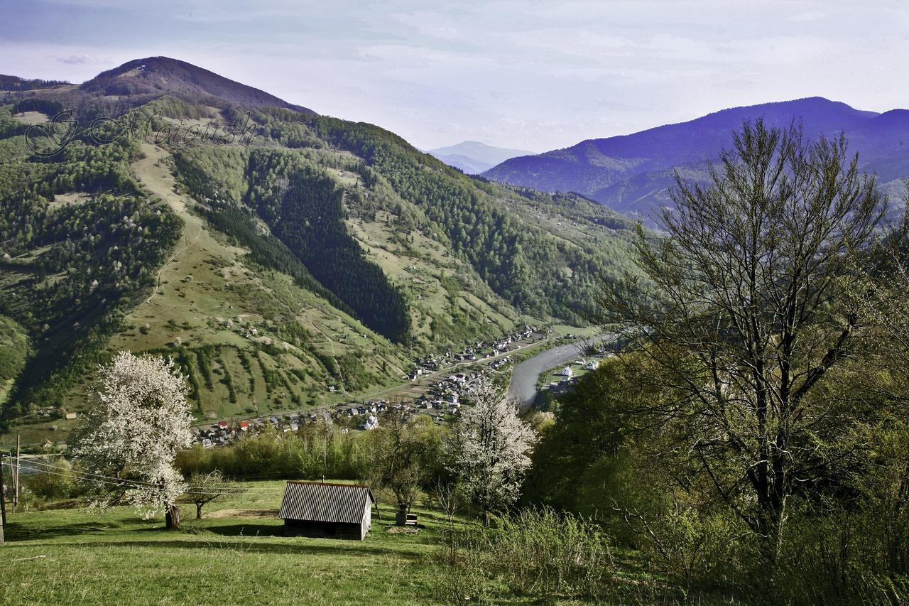 Dream Hostel Carpathians Rahău Exterior foto